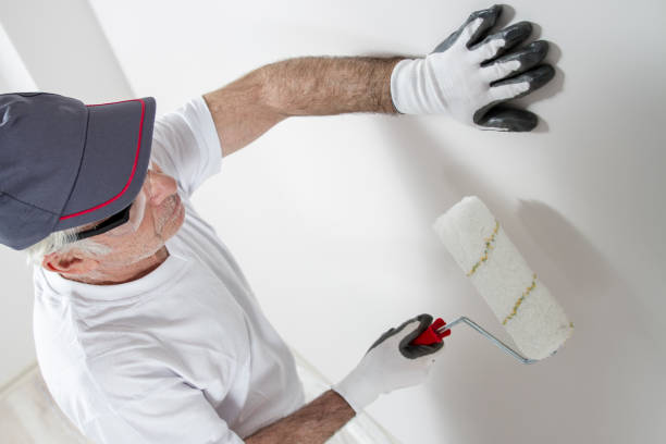 Best Basement Mold Removal  in Gonzales, LA