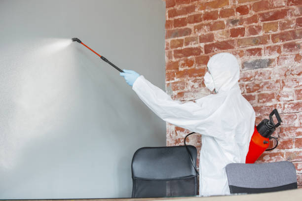 Trusted Gonzales, LA Mold Removal Experts
