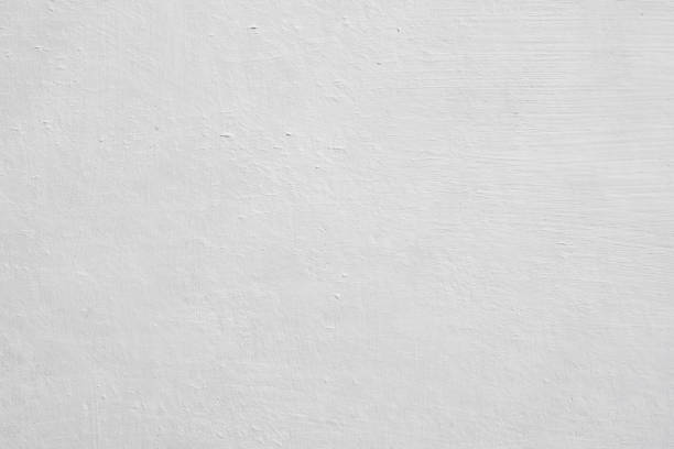 Mold Documentation for Insurance Claims in Gonzales, LA