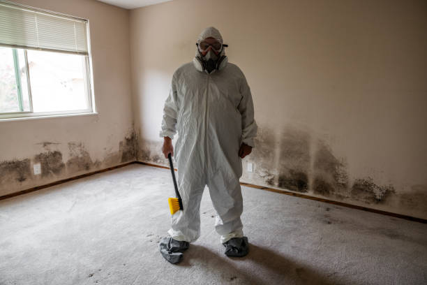 Best Industrial Mold Remediation  in Gonzales, LA