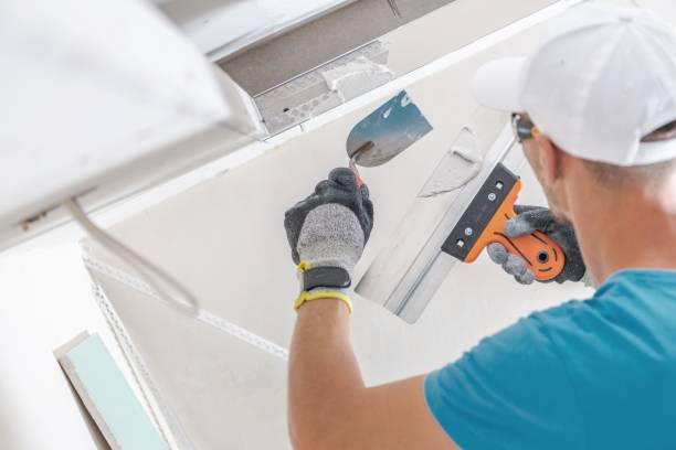 Best HVAC Mold Inspection and Cleaning  in Gonzales, LA